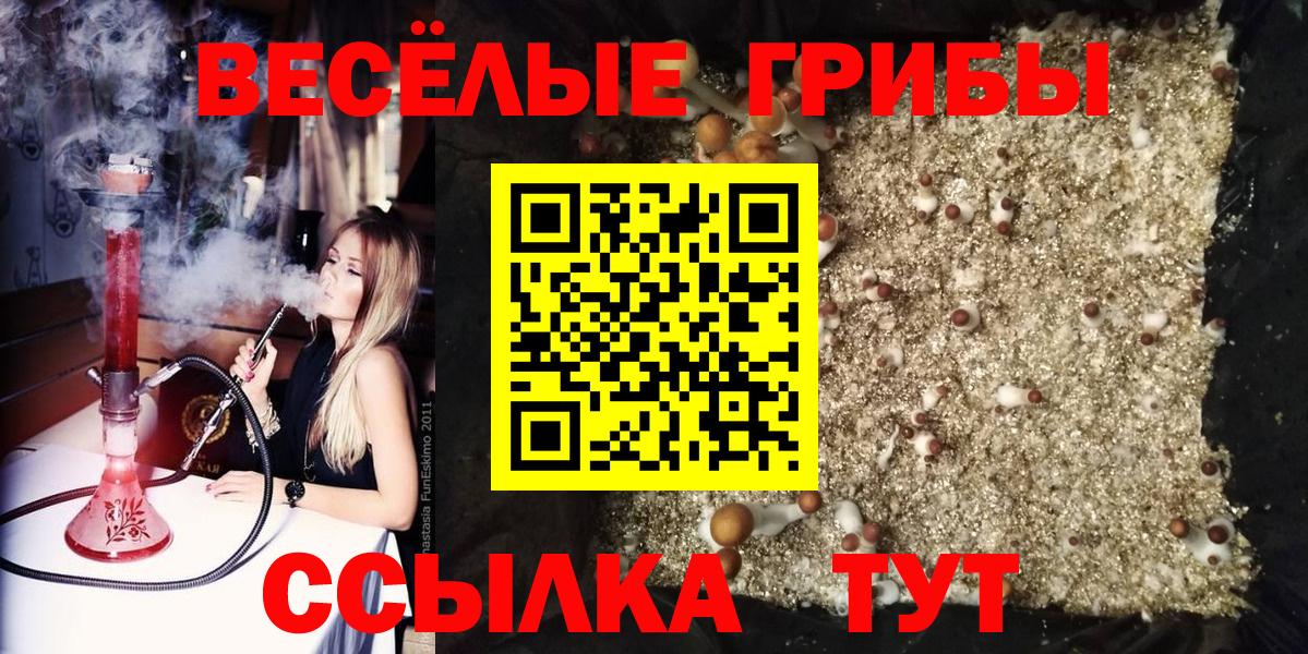 купить наркоту  Псилоцибиновые грибы ЛСД  Вход с VPN  Железногорск 